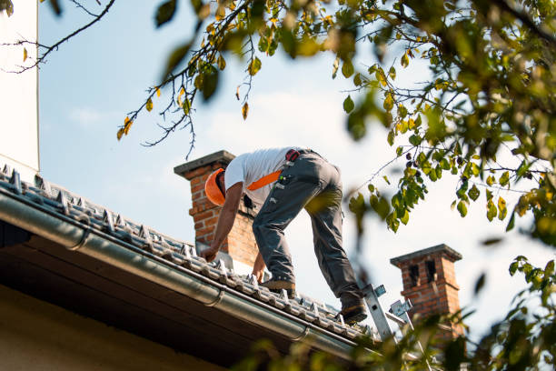 Professional Roofing Contractor in New Prague, MN